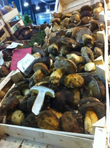 Mushrooms in the market in Florence, Italy. November 2013