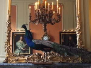 Bet you thought I'd post a photo of me dancing in costume, but I stumbled upon this peacock in a canal house museum in Amsterdam and loved him.